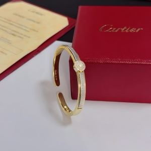 Women's Brand Deisgn Bangle 